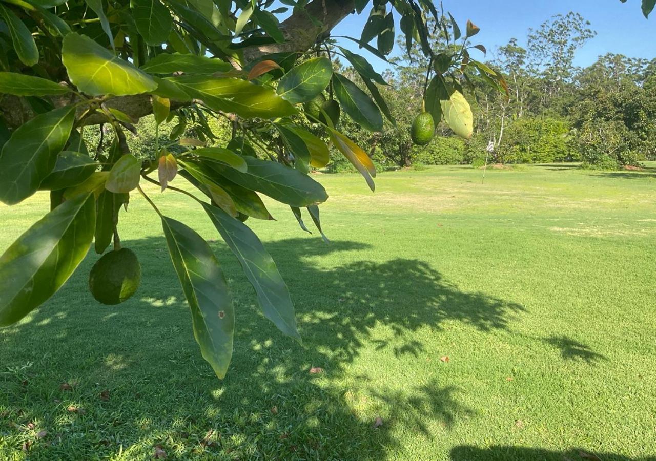 Sunshine Coast Retreat Your Own Private Golf Course Diddillibah Exterior photo