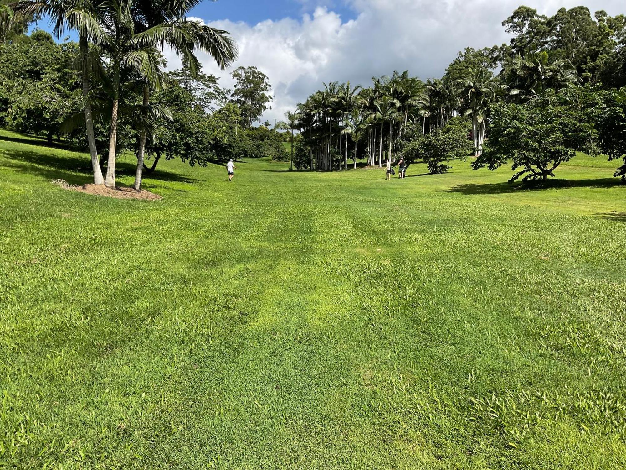 Sunshine Coast Retreat Your Own Private Golf Course Diddillibah Exterior photo