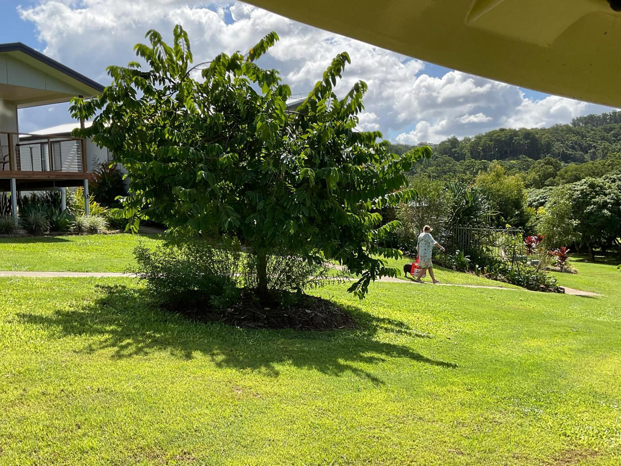 Sunshine Coast Retreat Your Own Private Golf Course Diddillibah Exterior photo