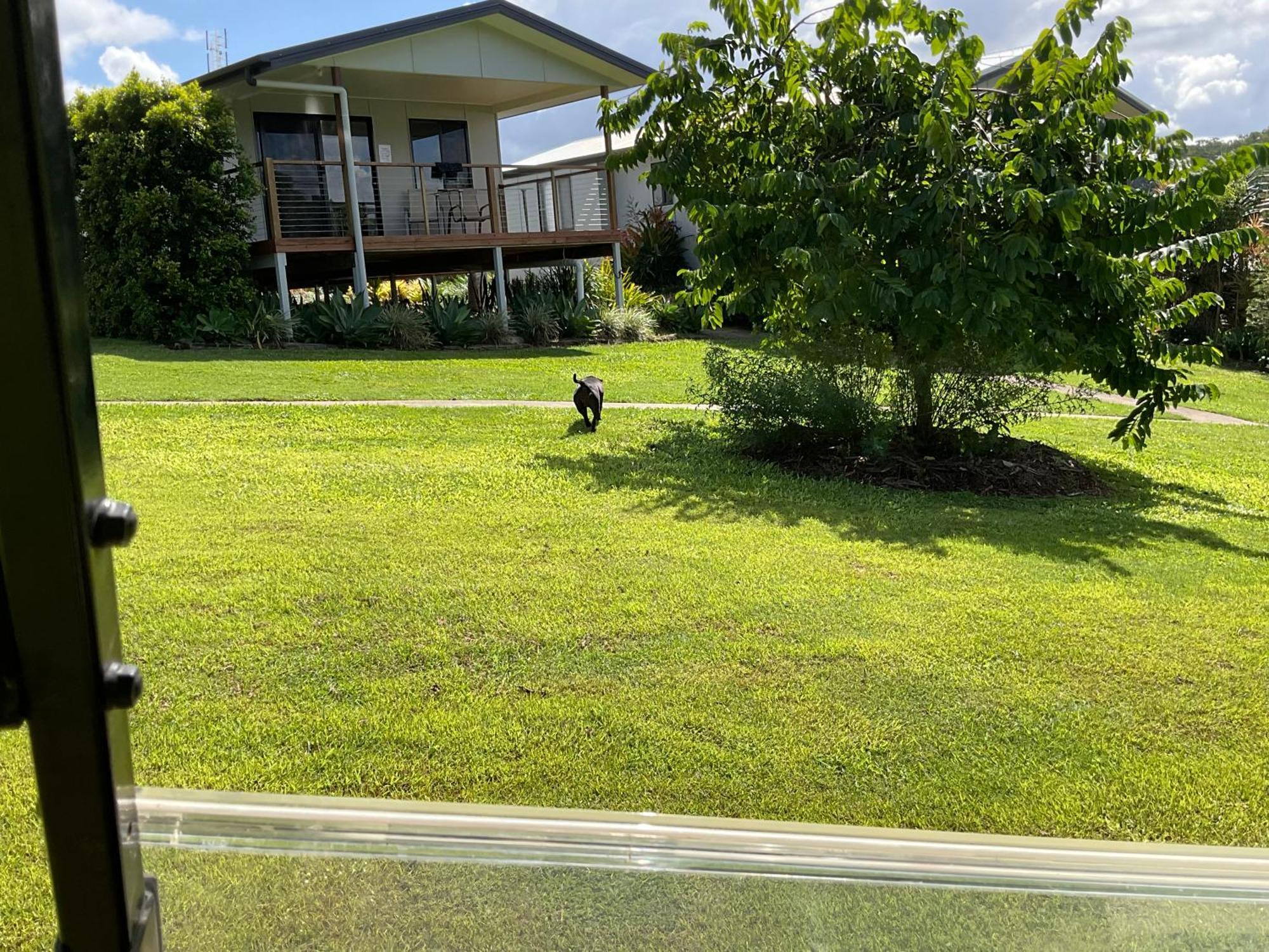 Sunshine Coast Retreat Your Own Private Golf Course Diddillibah Exterior photo