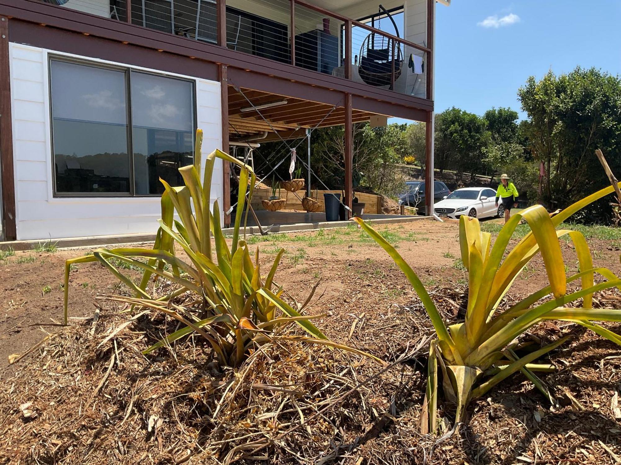 Sunshine Coast Retreat Your Own Private Golf Course Diddillibah Exterior photo